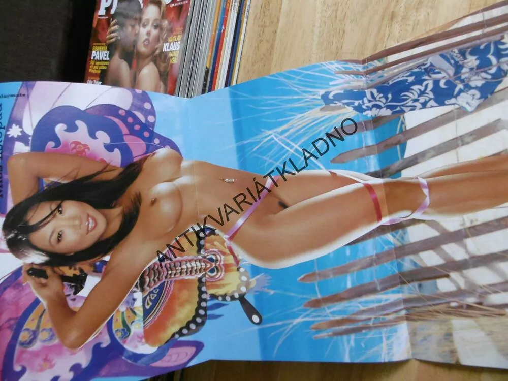 PLAYBOY, 11/2004, BROOKE BURKE, DONALD TRUMP