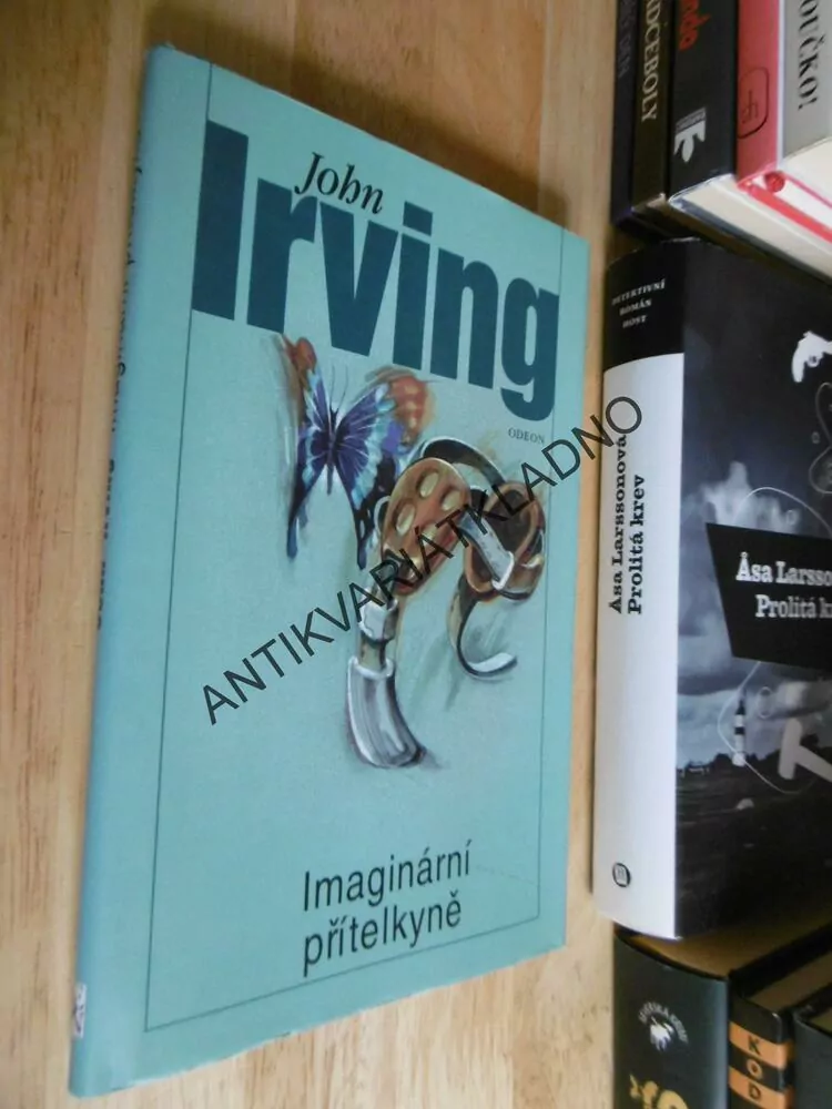 IMAGINÁRNÍ PŘÍTELKYNĚ, JOHN IRVING, **an
