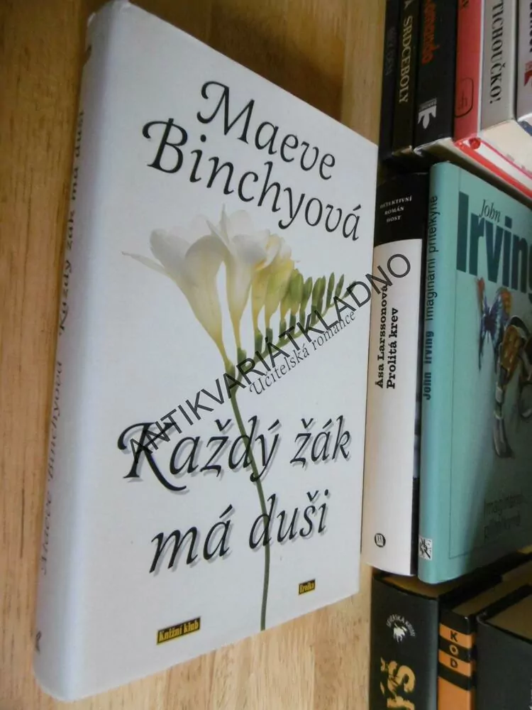 KAŽDÝ ŽÁK MÁ DUŠI, MAEVE BINCHYOVÁ, **an