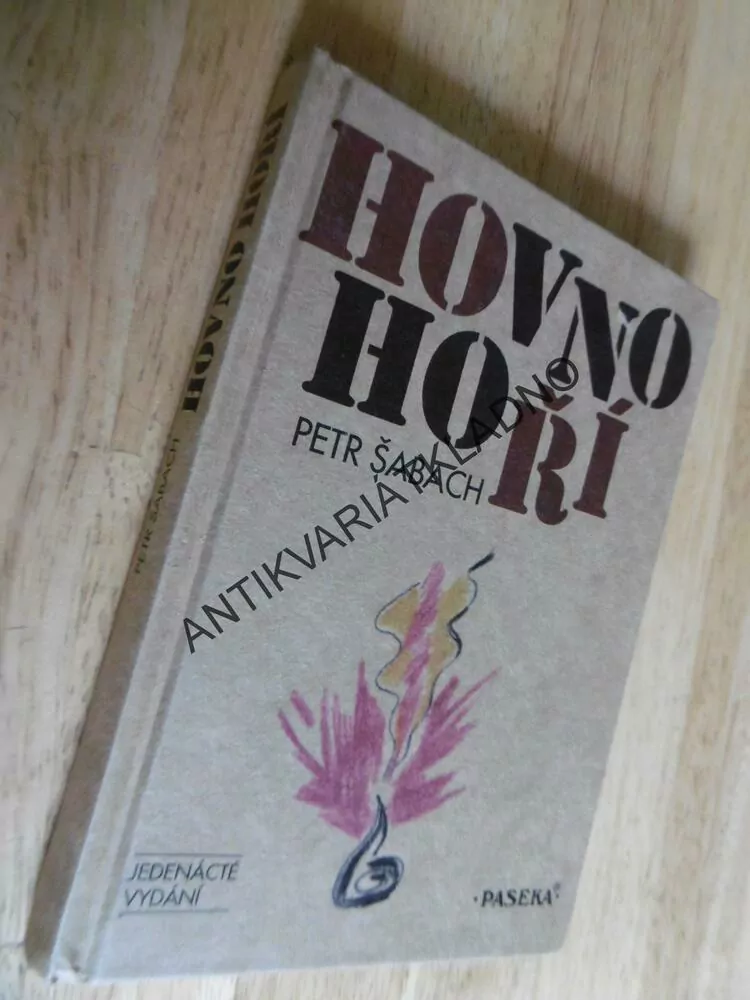 HOVNO HOŘÍ, PETR ŠABACH, PAVEL ŠTEFAN, 2000, **an
