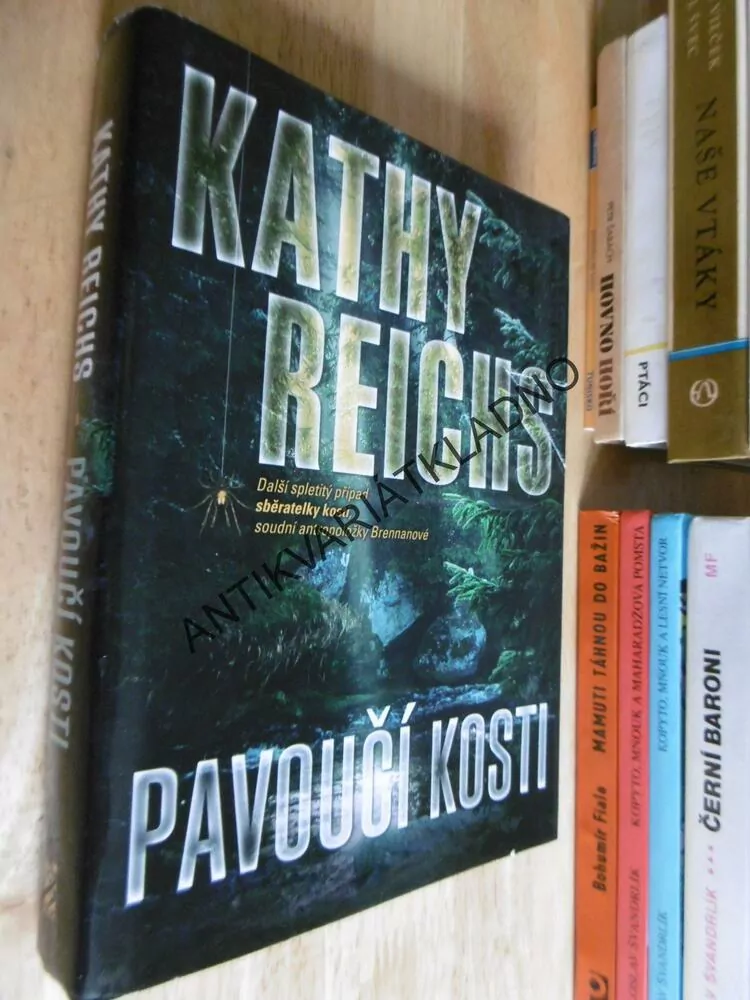 PAVOUČÍ KOSTI, KATHY REICHS,