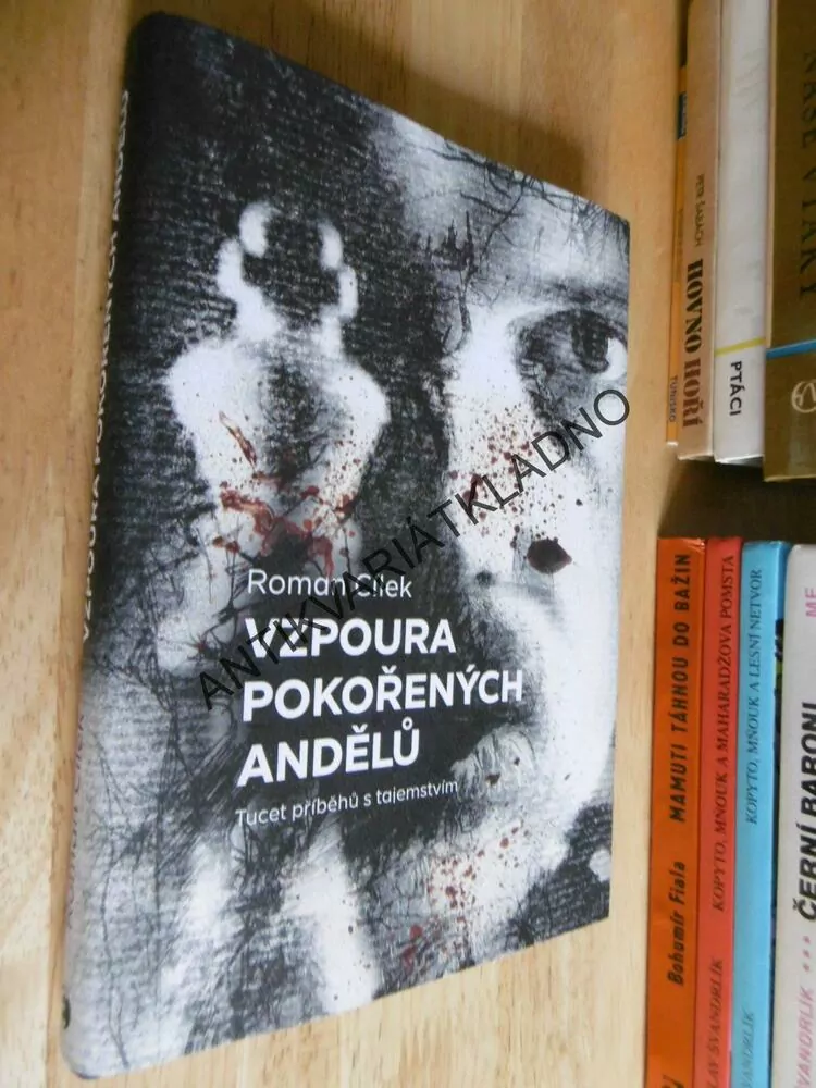VZPOURA POKOŘENÝCH ANDĚLŮ, ROMAN CÍLEK, **an