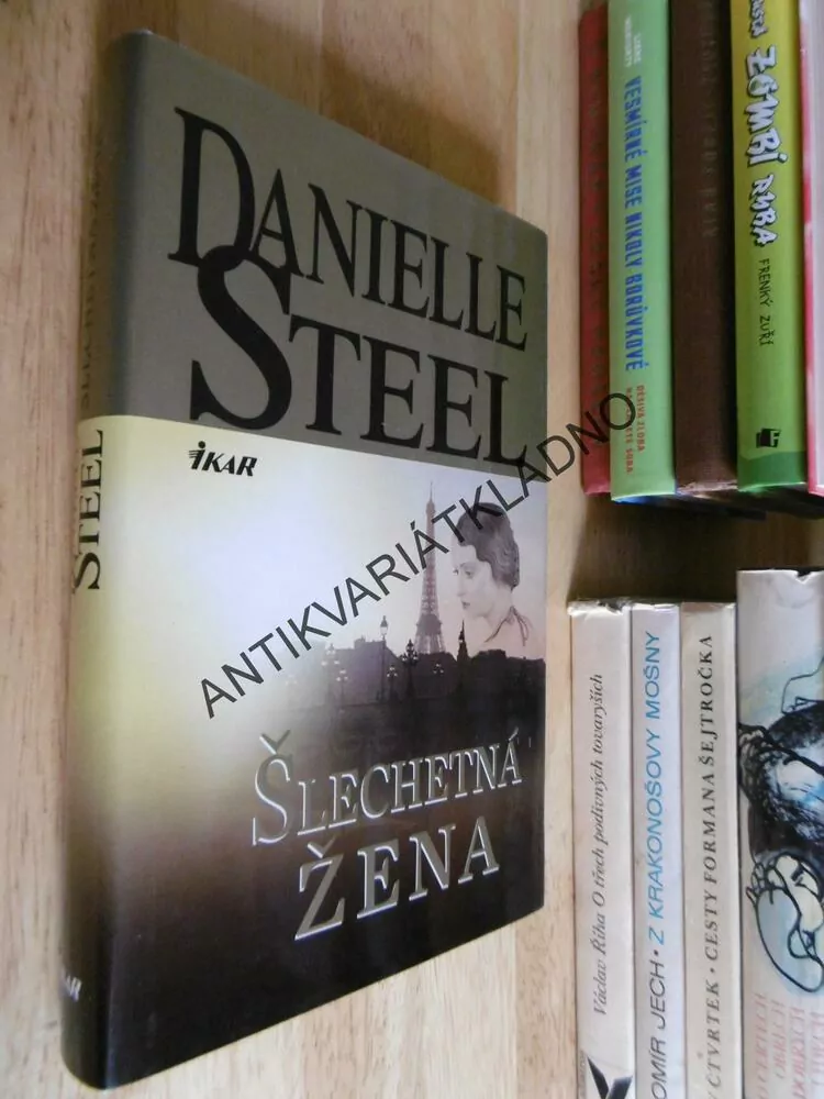 ŠLECHETNÁ ŽENA, DANIELLE STEEL