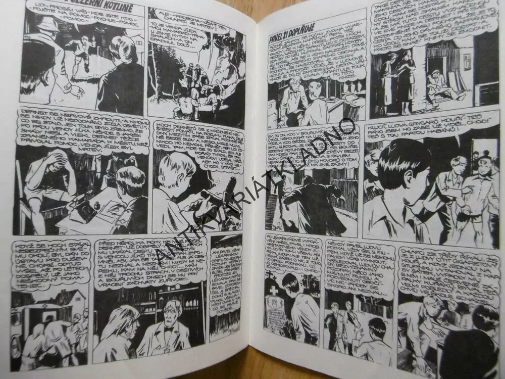 CHATA V JEZERNÍ KOTLINĚ, FOGLAR, MARKO ČERMÁK, KOMIKS,