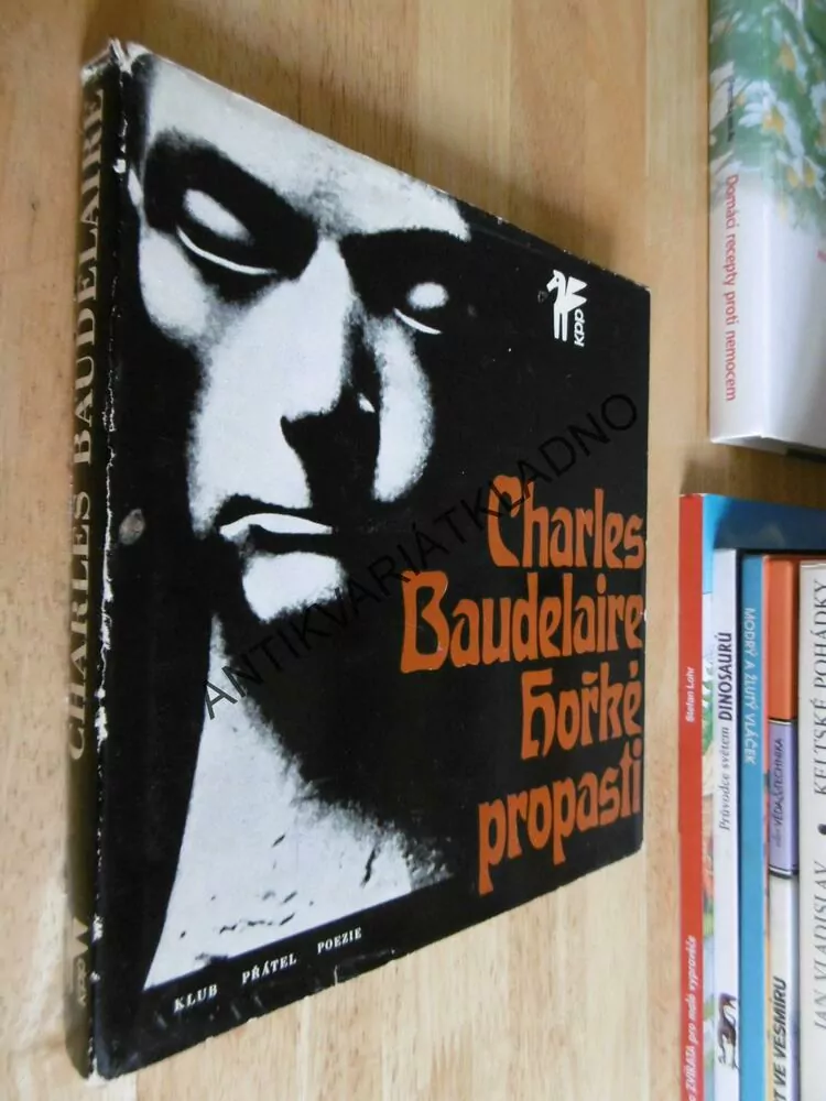 HOŘKÉ PROPASTI, CHARLES BAUDELAIRE