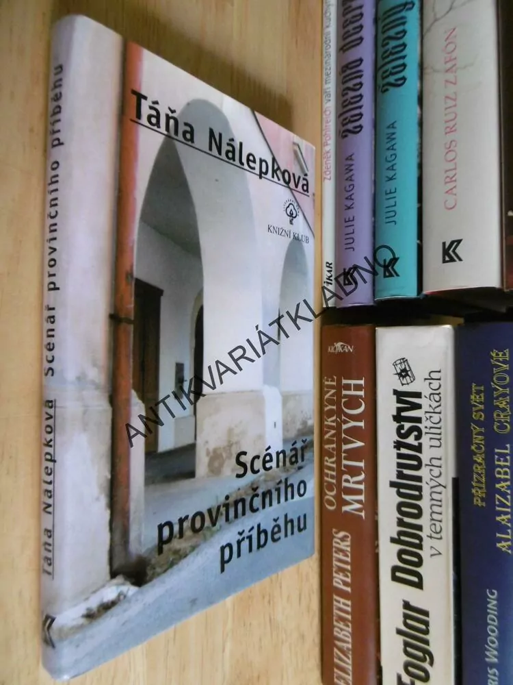 SCÉNÁŘ PROVINČNÍHO PŘÍBĚHU, TÁŇA NÁLEPKOVÁ, **an