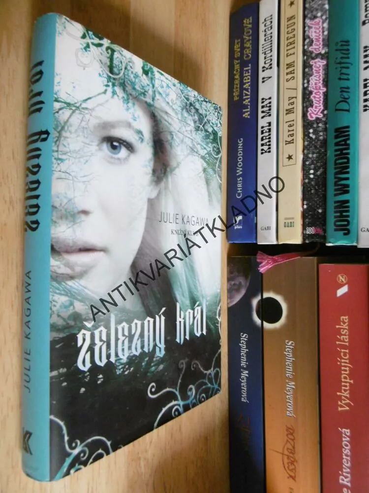 ŽELEZNÝ KRÁL, JULIE KAGAWA, **an