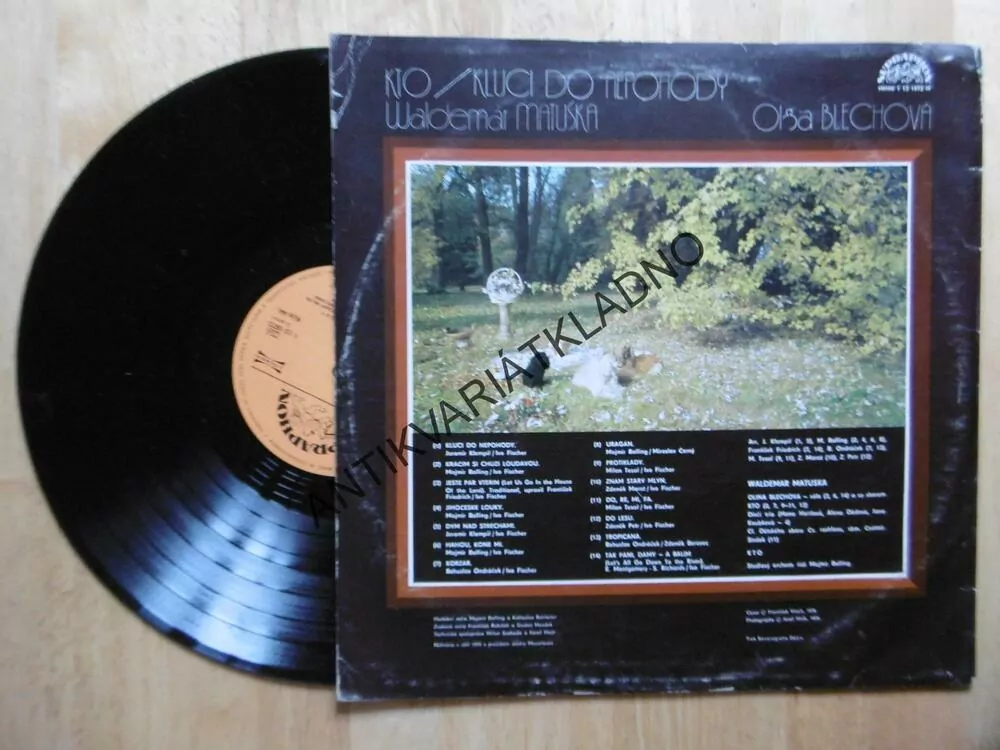 KLUCI DO NEPOHODY, WALDEMAR MATUŠKA, KTO, OLGA BLECHOVÁ
