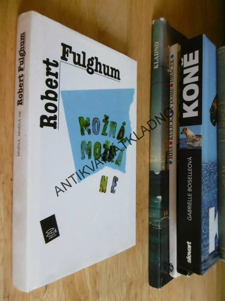 MOŽNÁ, MOŽNÁ NE, ROBERT FULGHUM, **an