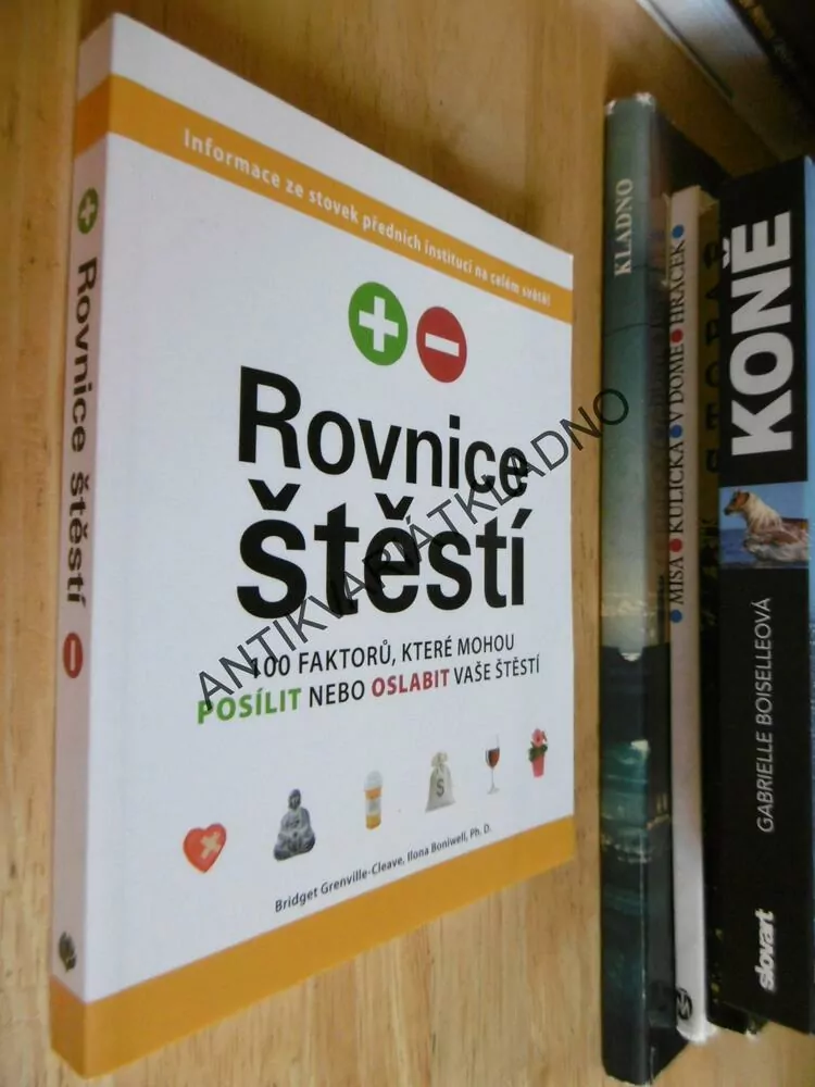 ROVNICE ŠTĚSTÍ, 100 FAKTORŮ, KTERÉ MOHOU POSÍLIT NEBO OSLABIT VAŠE ŠTĚSTÍ