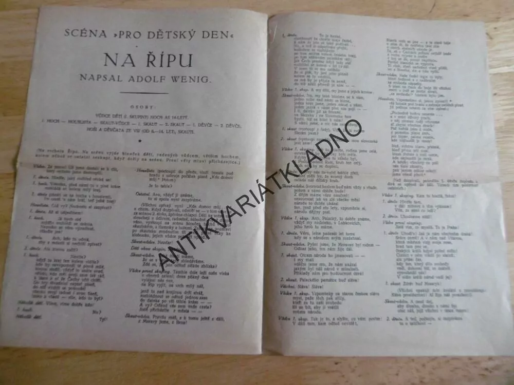 DĚTSKÝ DEN 1926, ŘÍP, OKR.LITOMĚŘICE, ADOLF WENIG, SCÉNA PRO TUTO AKCI