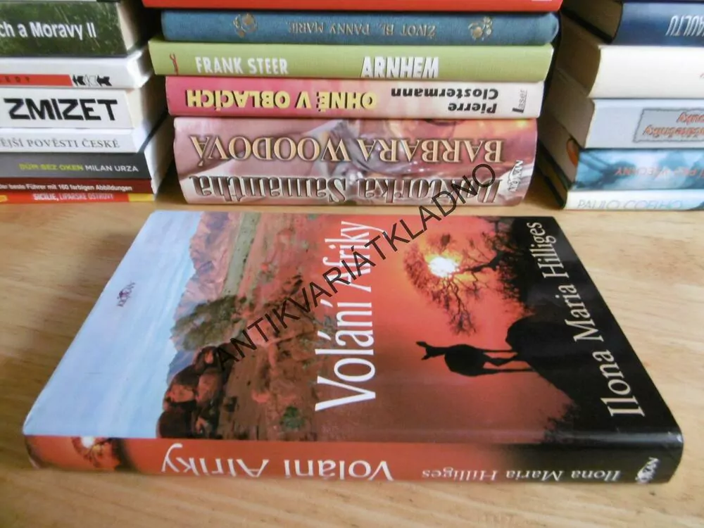 VOLÁNÍ AFRIKY, ILONA MARIA HILLIGES, **an