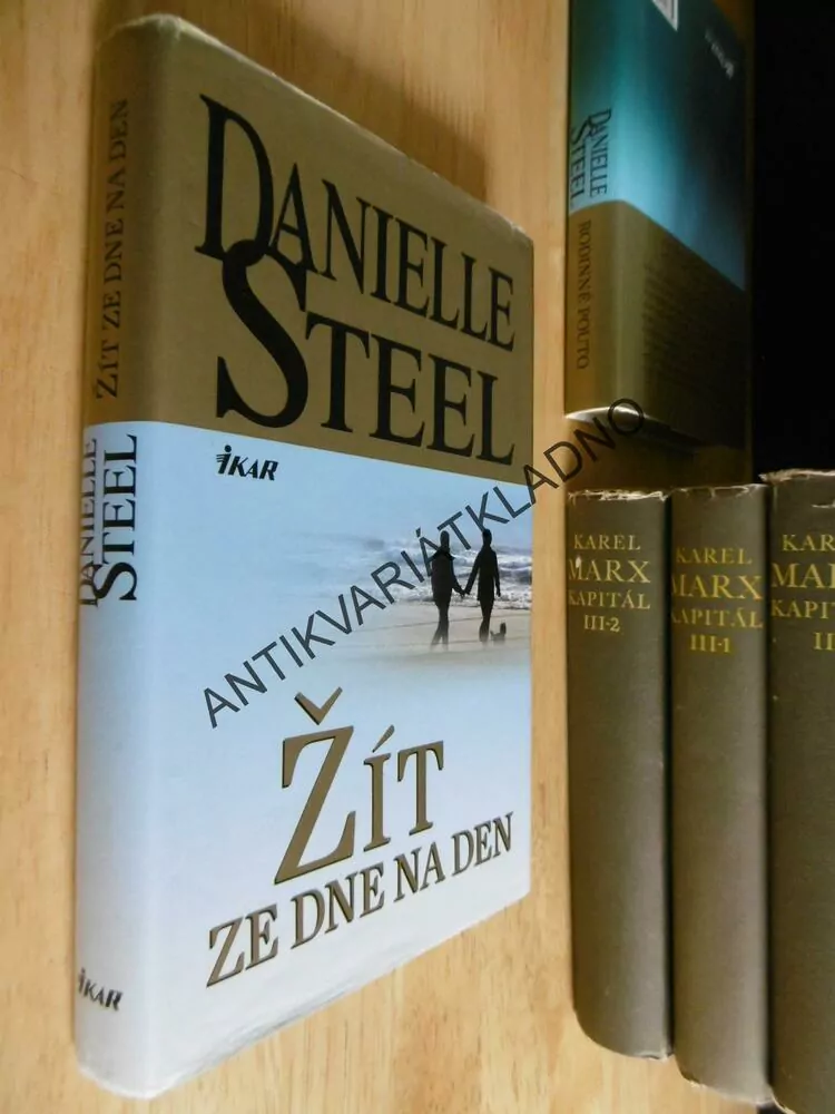 ŽÍT ZE DNE NA DEN, DANIELLE STEEL, **an