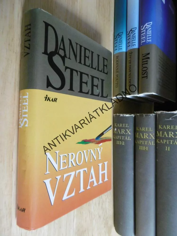 NEROVNÝ VZTAH, DANIELLE STEEL, **an