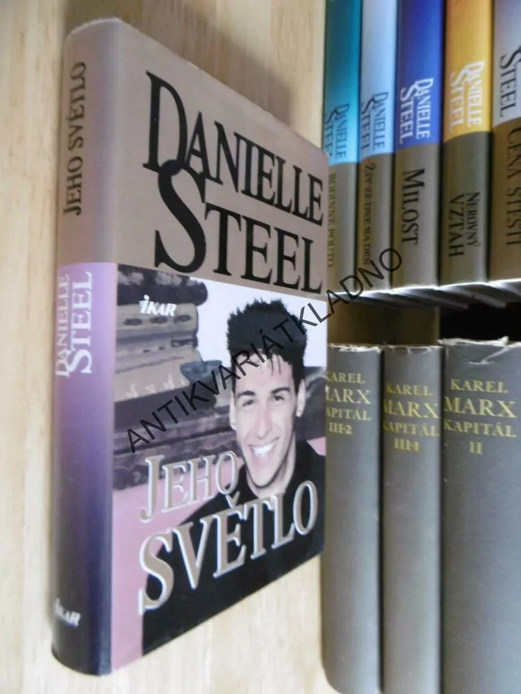 JEHO SVĚTLO, DANIELLE STEEL, **an