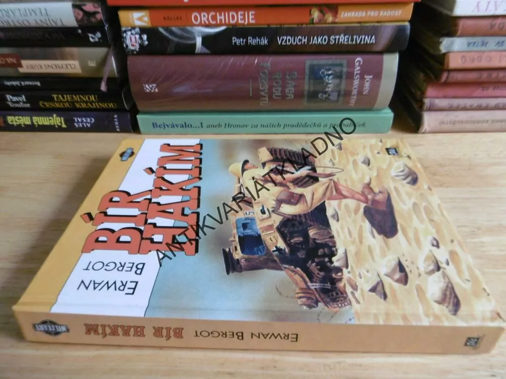 BÍR HAKÍM, ERWAN BERGOT, **an