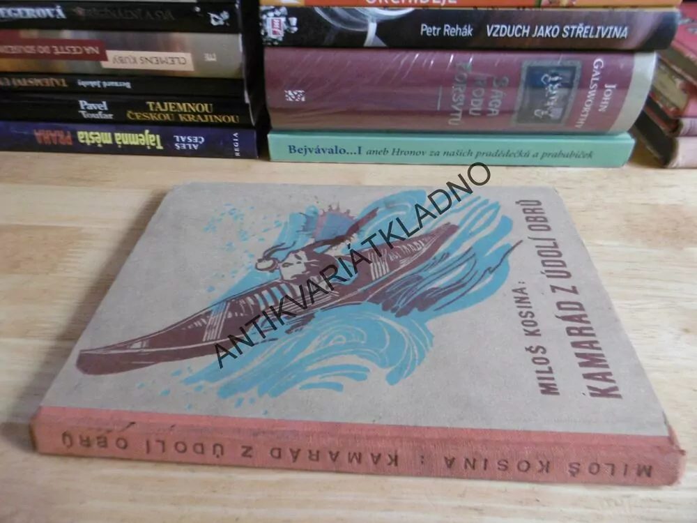 KAMARÁD Z ÚDOLÍ OBRŮ, MILOŠ KOSINA, ČERNÝ-KLATOVSKÝ