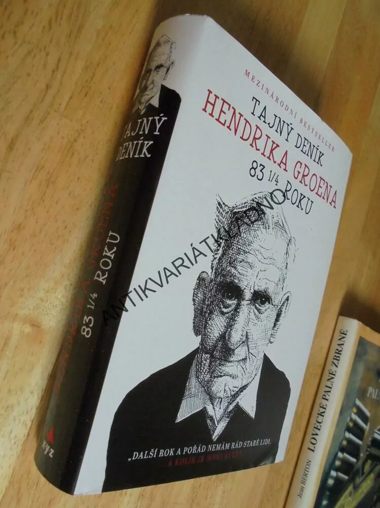 TAJNÝ DENÍK HENDRIKA GROENA 83 1/4 ROKU, GROEN, bestseller