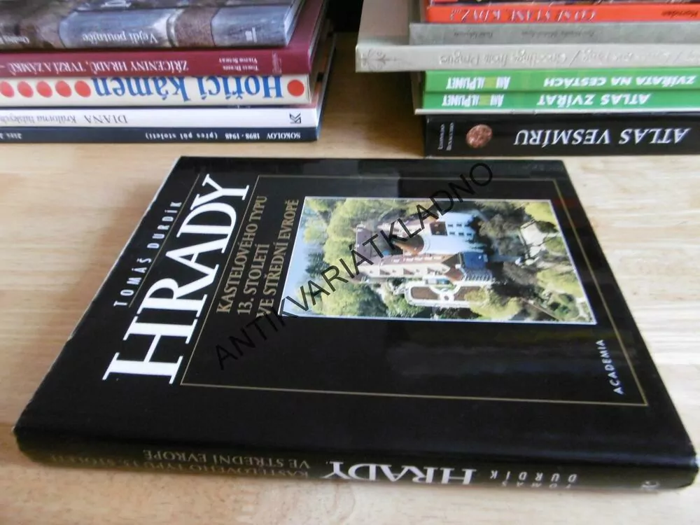 HRADY, KASTELOVÉHO TYPU 13.STOLETÍ VE STŘEDNÍ EVROPĚ, TOMÁŠ DURDÍK