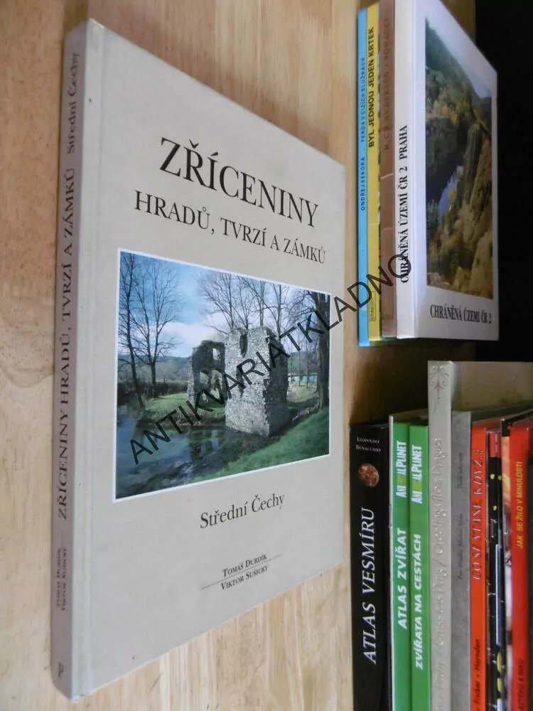ZŘÍCENINY HRADŮ, TVRZÍ A ZÁMKŮ, STŘEDNÍ ČECHY, TOMÁŠ DURDÍK
