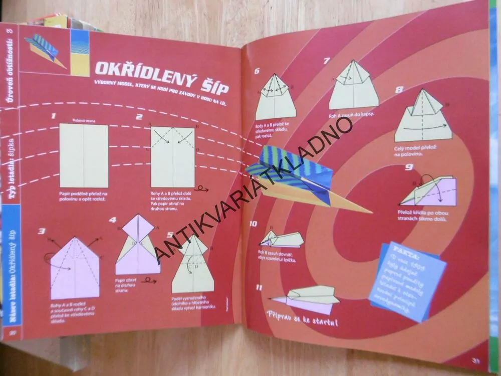 12 ÚŽASNÝCH PAPÍROVÝCH VLAŠTOVEK,