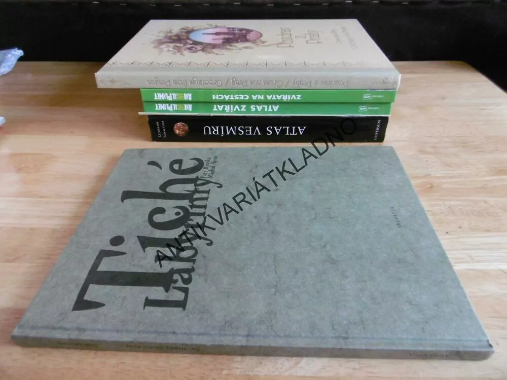 TICHÉ LABYRINTY, PETR HRUŠKA, MICHAL AJVAZ, **an