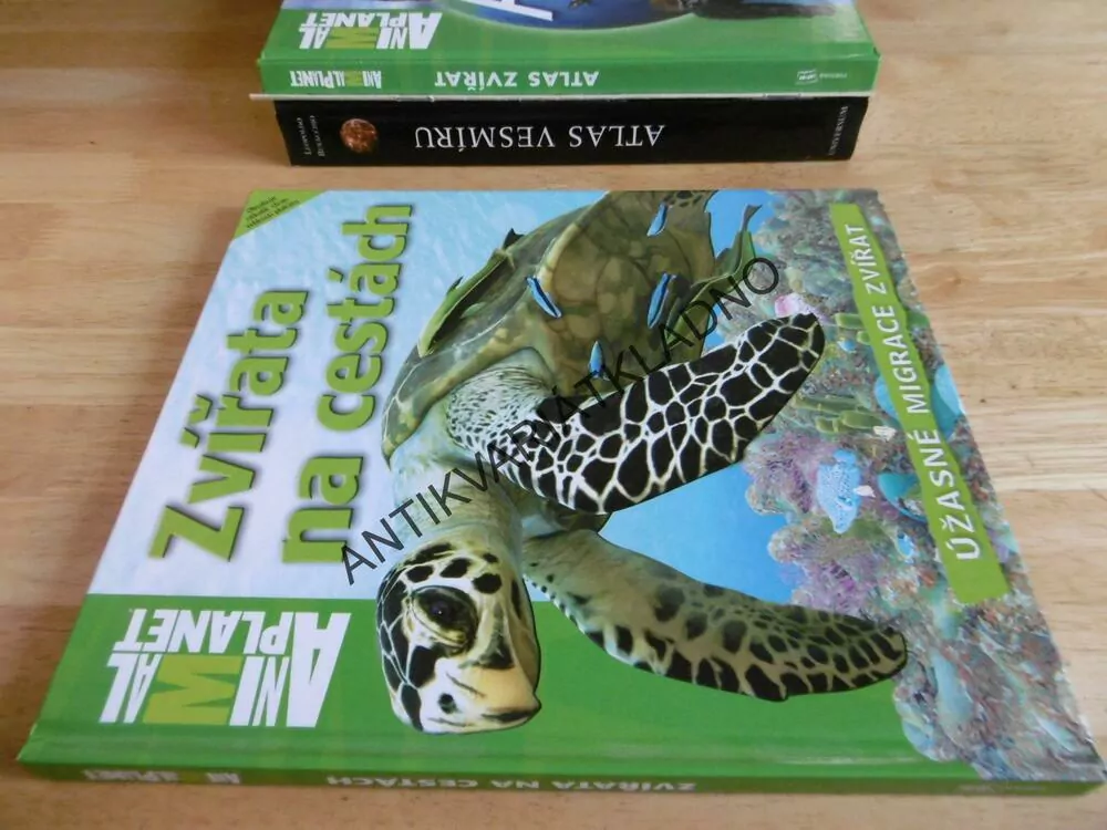 ZVÍŘATA NA CESTÁCH, MIGRACE ZVÍŘAT, ANIMAL PLANET, **an