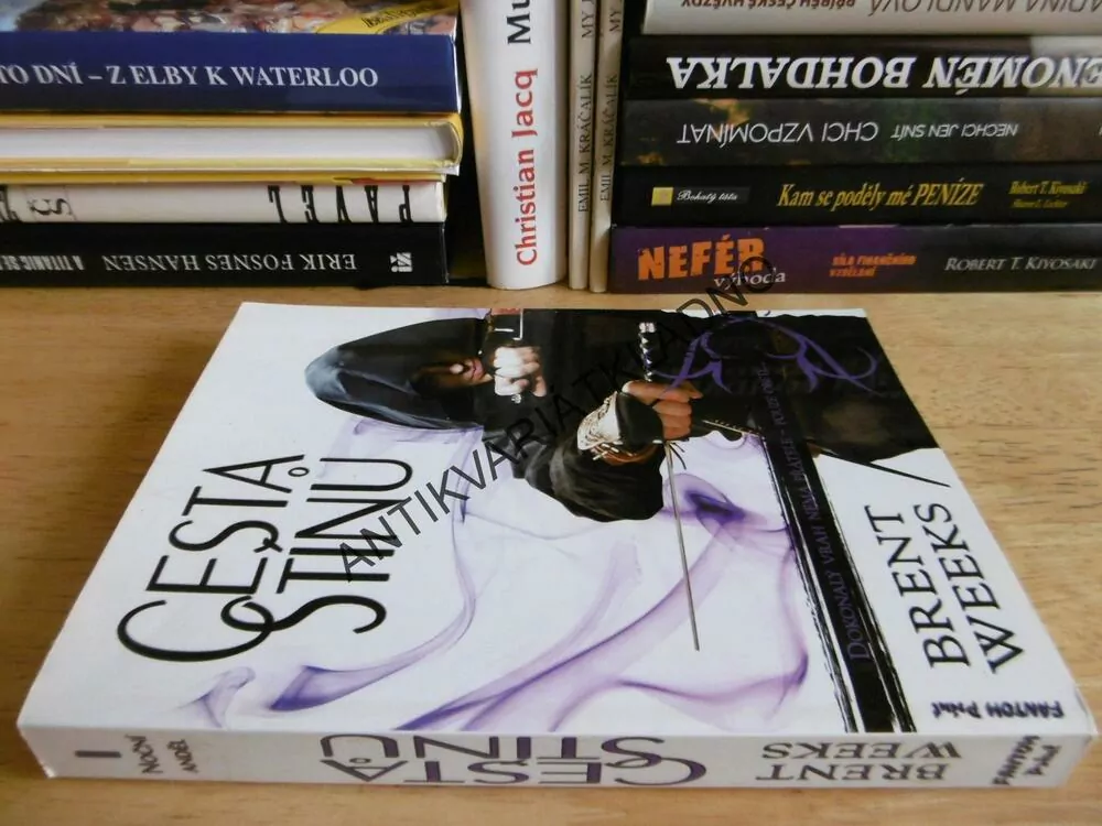 CESTA STÍNŮ, BRENT WEEKS, **an