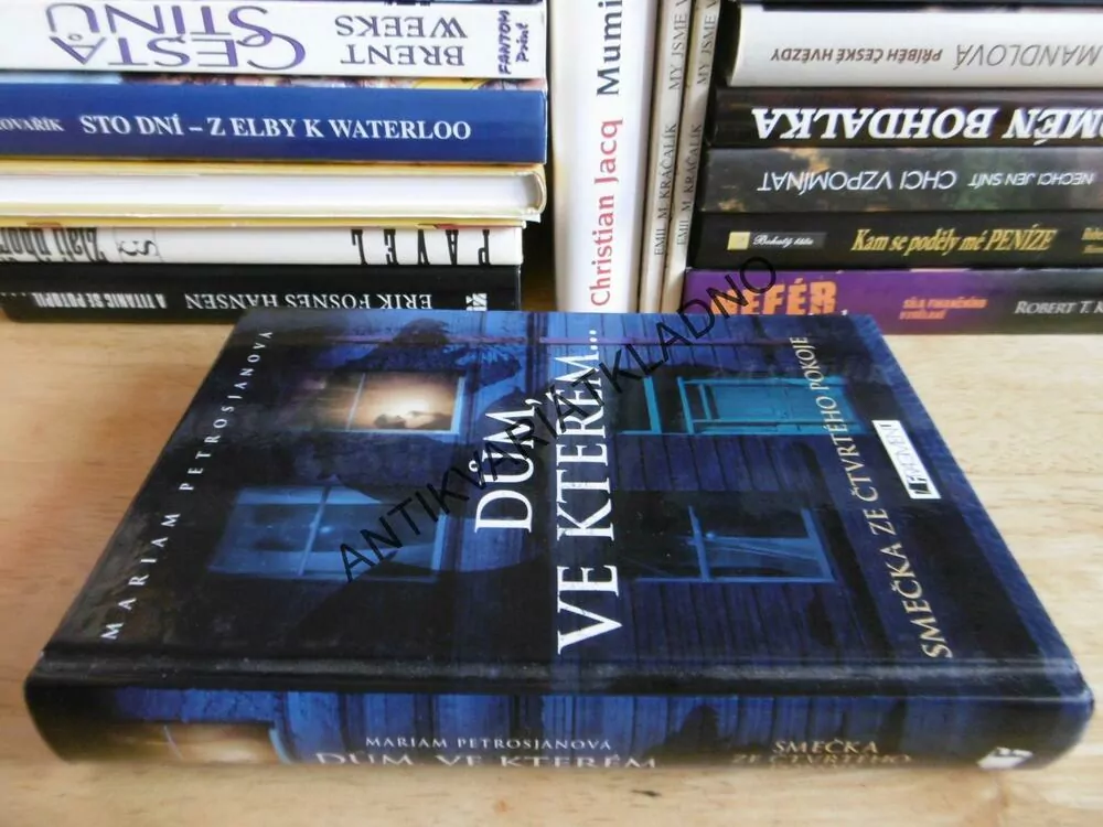 DŮM, VE KTERÉM..., MARIAM PETROSJANOVÁ, **an