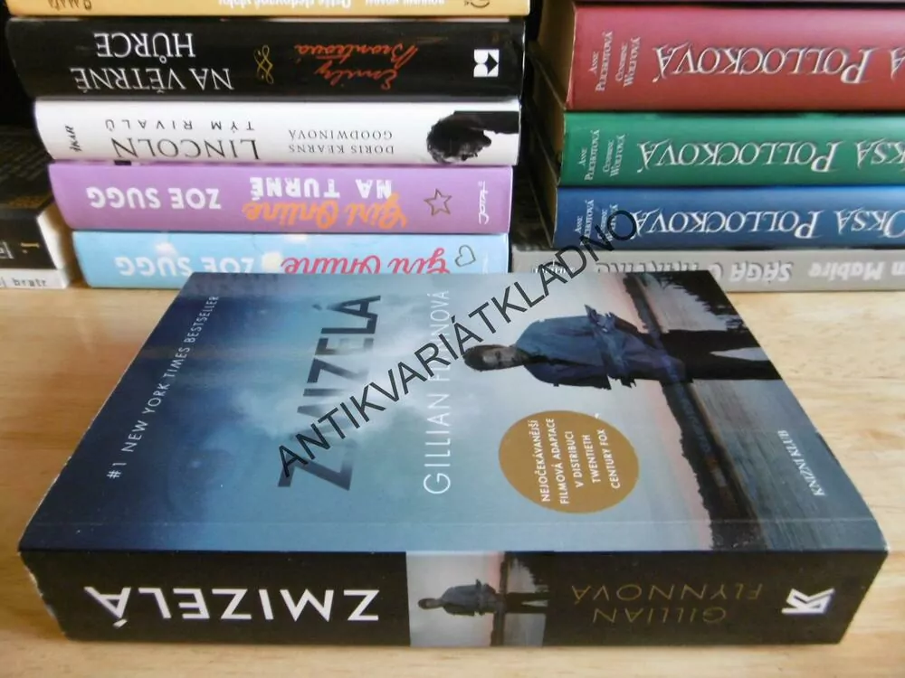 ZMIZELÁ, GILLIAN FLYNNOVÁ, FLYNN, BESTSELLER, **an