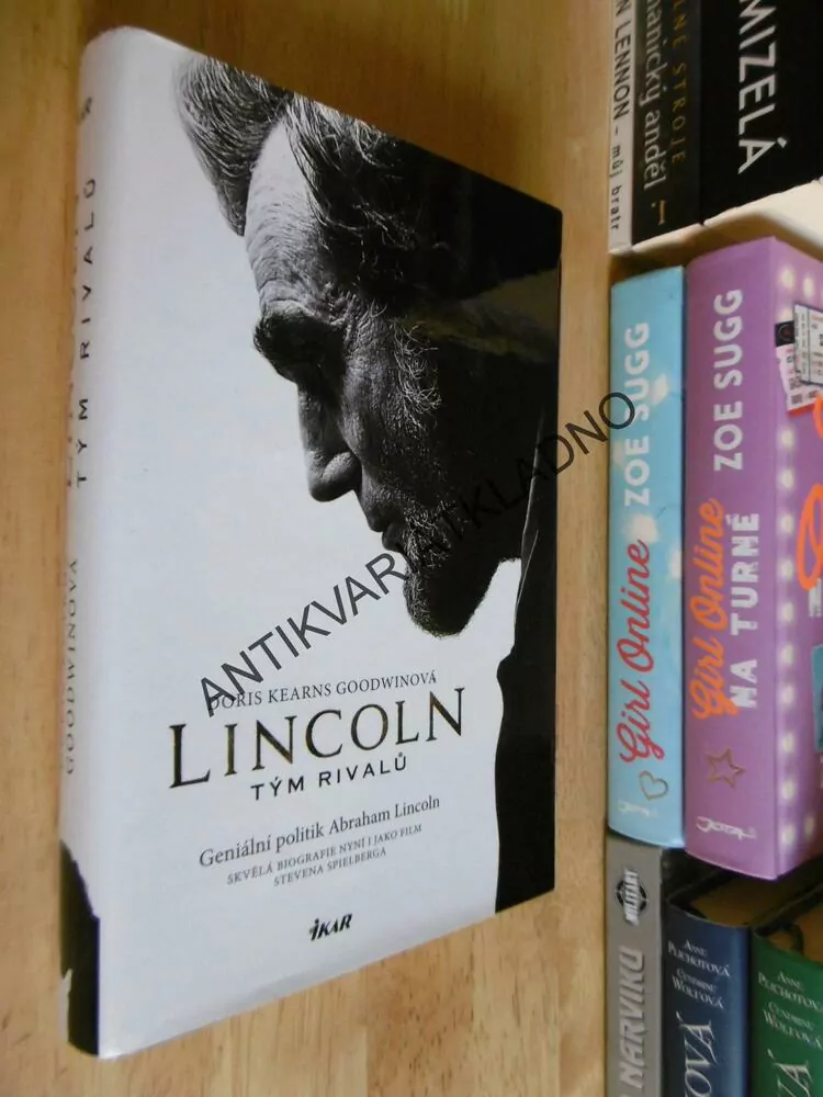 LINCOLN, TÝM RIVALŮ, DORIS KEARNS GOODWINOVÁ, ABRAHAM LINCOLN