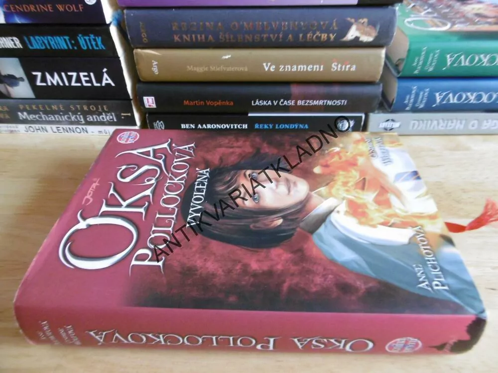 OKSA POLLOCKOVÁ, VYVOLENÁ, KNIHA PRVNÍ, ANNE PLICHOTOVÁ, GENDRINE WOLFOVÁ, **an