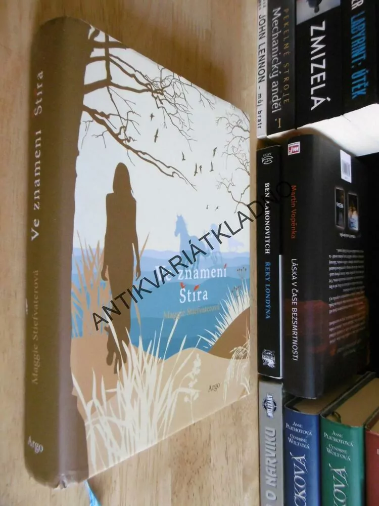 VE ZNAMENÍ ŠTÍRA, MAGGIE STIEFVATEROVÁ
