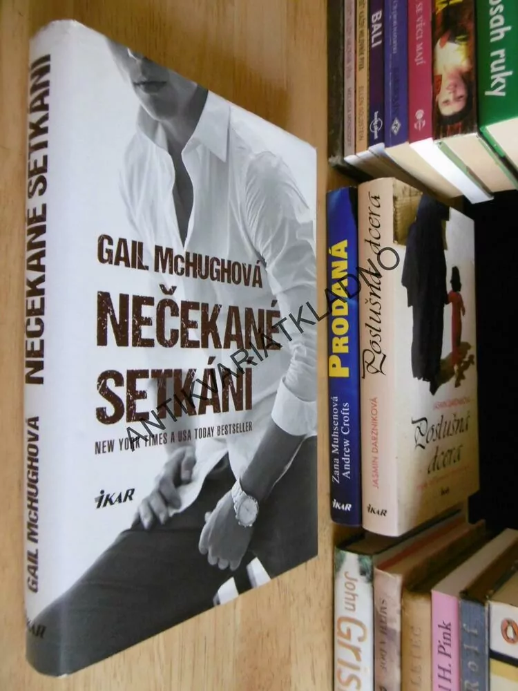 NEČEKANÉ SETKÁNÍ, GAIL MCHUGHOVÁ