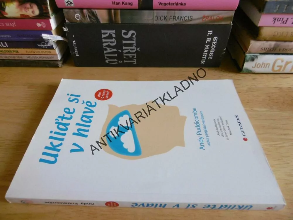 UKLIĎTE SI V HLAVĚ, STAČÍ 10 MINUT DENNĚ, ANDY PUDDICOMBE