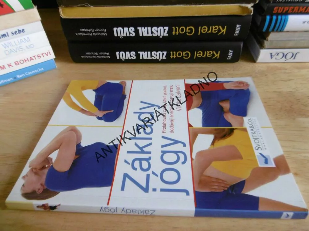 ZÁKLADY JÓGY, JÓGA, VIMLA LALVANI
