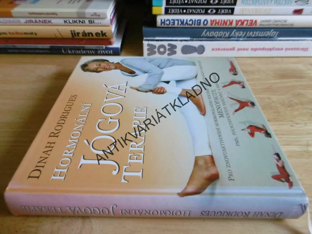 HORMONÁLNÍ JÓGOVÁ TERAPIE, DINAH RODRIGUES, JÓGA,