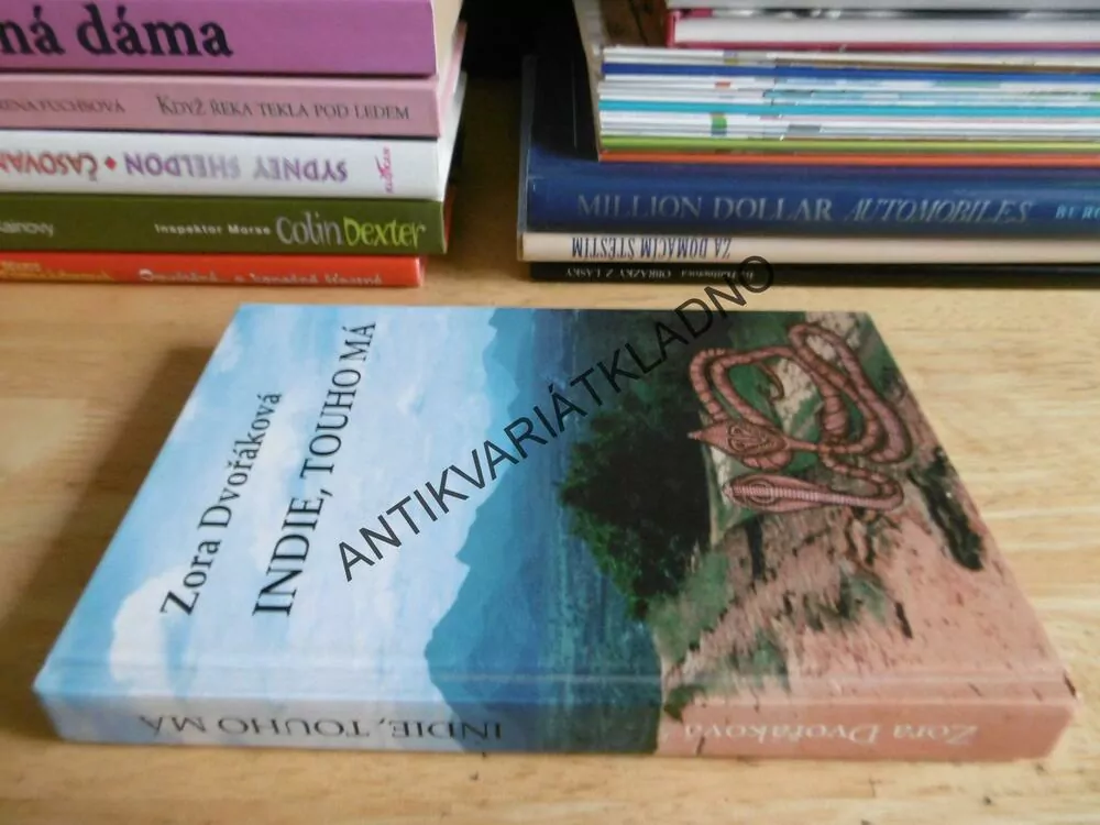 INDIE, TOUHO MÁ, ZORA DVOŘÁKOVÁ, **an