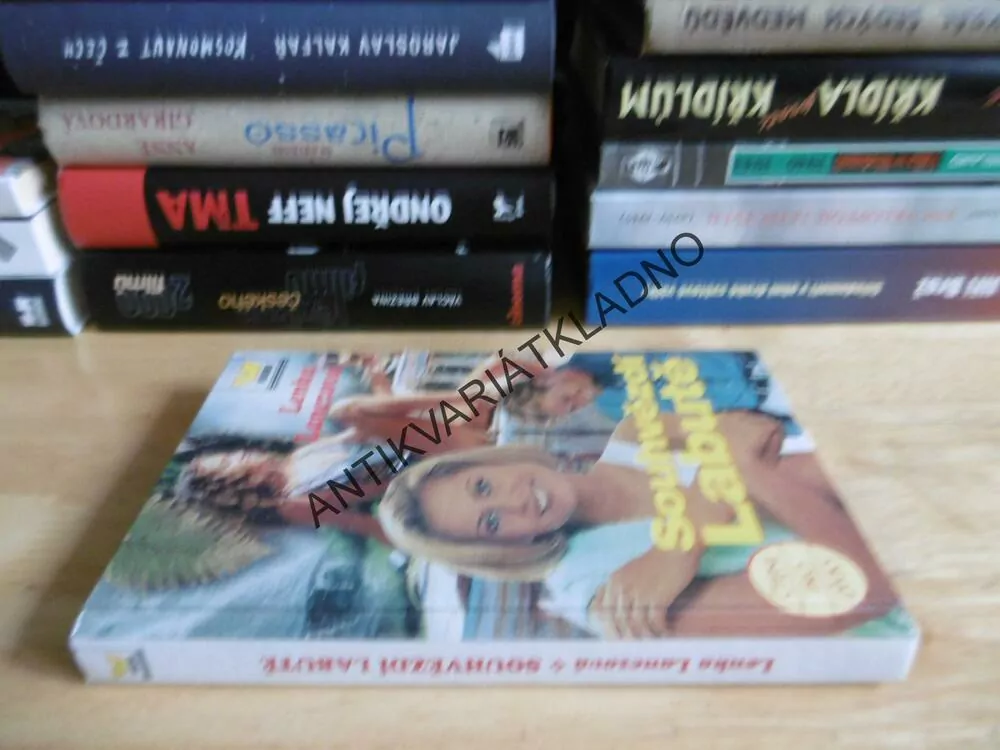 SOUHVĚZDÍ LABUTĚ, LENKA LANCZOVÁ, **an