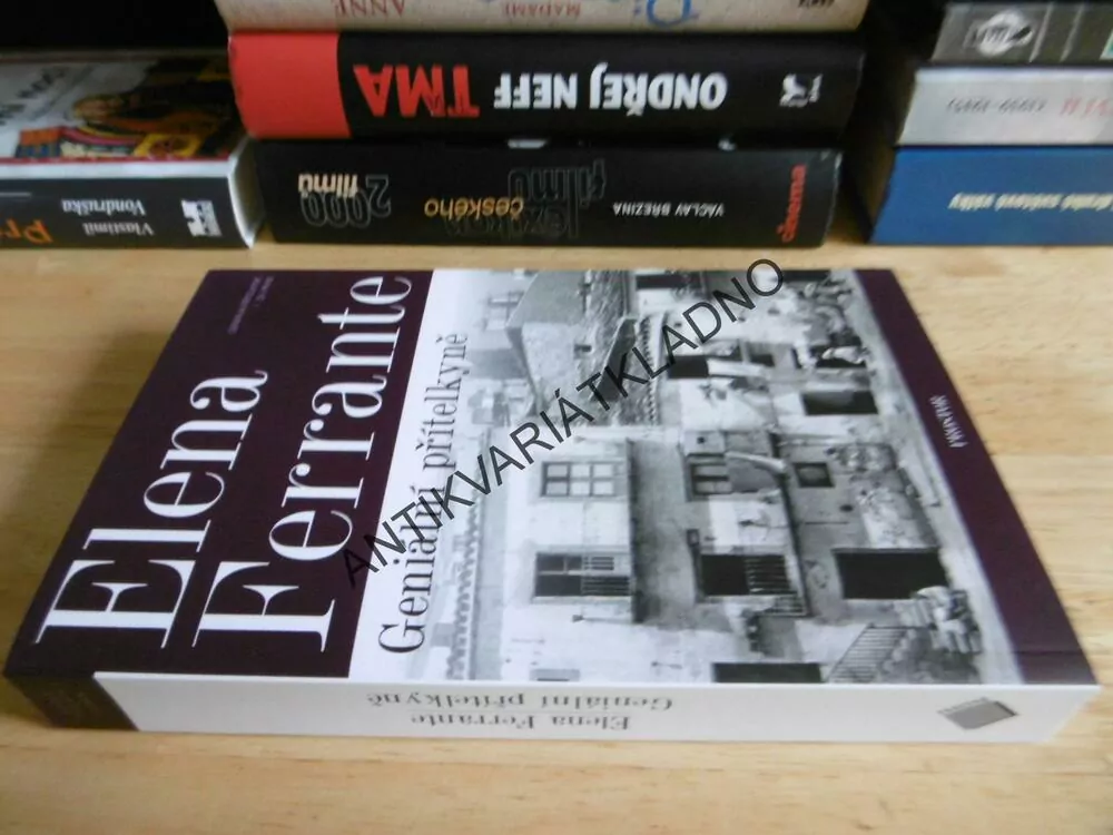 GENIÁLNÍ PŘÍTELKYNĚ,1., ELENA FERRANTE, **an