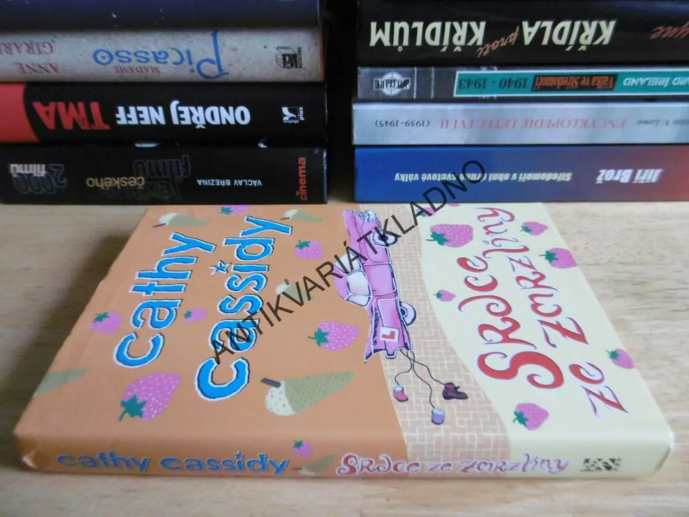SRDCE ZE ZMRZLINY, CATHY CASSIDY, **an