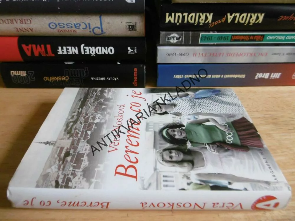 BEREME, CO JE, VĚRA NOSKOVÁ, **an