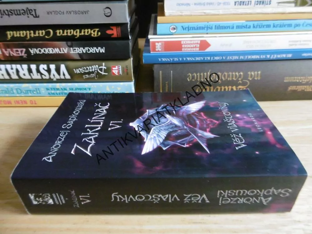 ZAKLÍNAČ 6. VĚŽ VLAŠTOVKY, ANDRZEJ SAPKOWSKI. **an