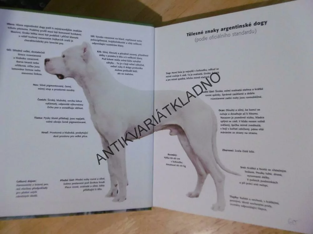 ARGENTINSKÁ DOGA, JOSEPH JANISH, **an