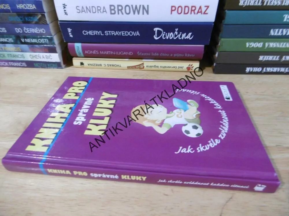 KNIHA PRO SPRÁVNÉ KLUKY, **an