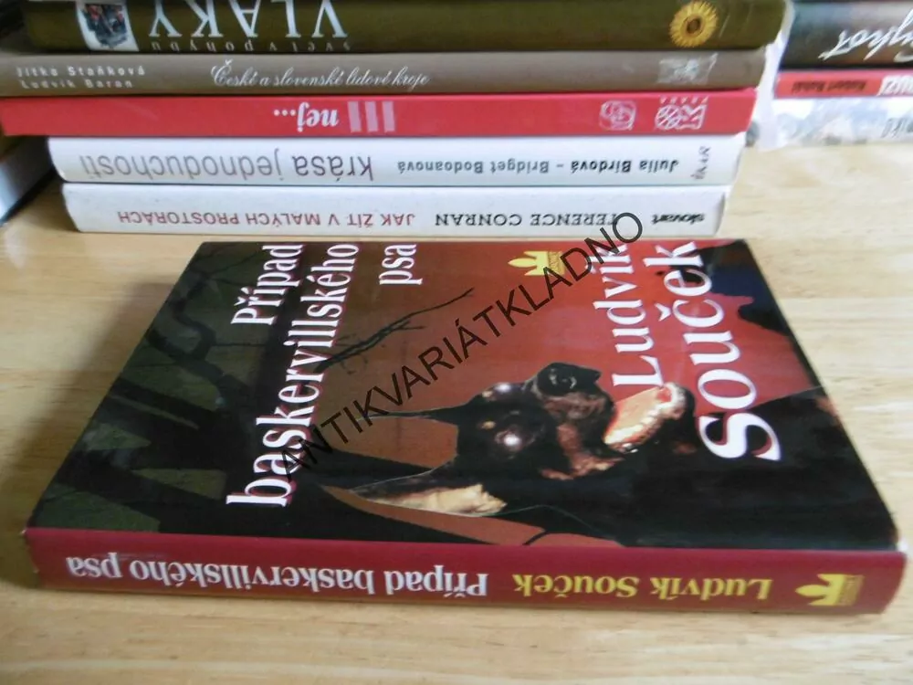 PŘÍPAD BASKERVILLSKÉHO PSA, LUDVÍK SOUČEK,