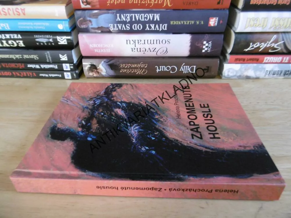 ZAPOMENUTÉ HOUSLE, HELENA PROCHÁZKOVÁ, **an