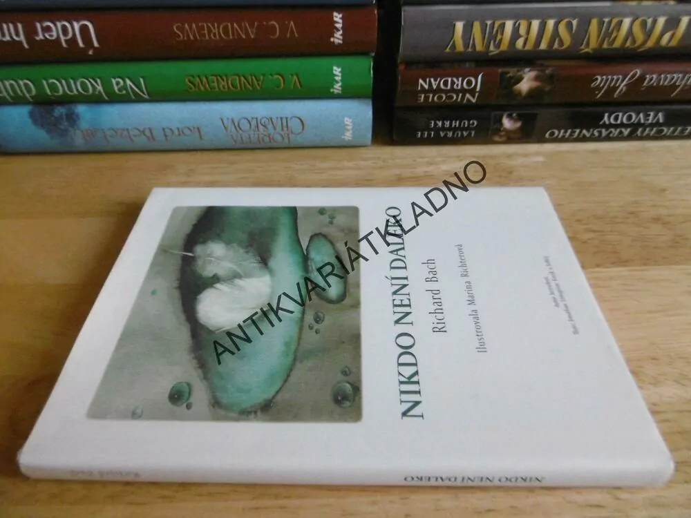 NIKDO NENÍ DALEKO, RICHARD BACH, MARINA RICHTEROVÁ