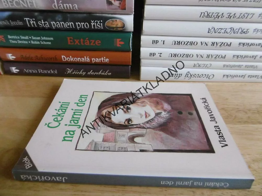 ČEKÁNÍ NA JARNÍ DEN, VLASTA JAVOŘICKÁ, **an