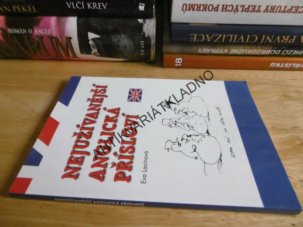 NEJUŽÍVANĚJŠÍ ANGLICKÁ PŘÍSLOVÍ, ANGLIČTINA, EVA LACINOVÁ